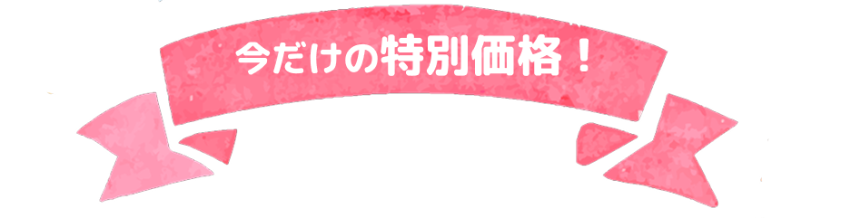 今だけの特別価格