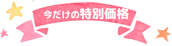 今だけの特別価格
